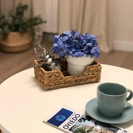 Apartamento Casa Güelita Oviedo